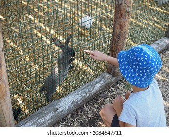 Boy kneeling outdoors next to a rabbit pen. He is trying to pet the rabbits by putting their fingers through the holes in the fence.