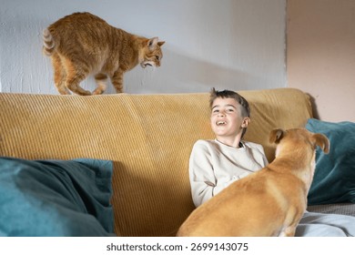 Boy laughing while a ginger cat hisses at a brown dog on the couch