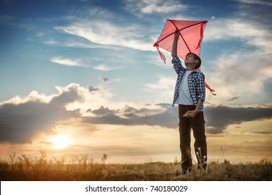 Boy launch a kite in the field at sunset - Shutterstock ID 740180029