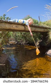 Boy Laying On A Small Wooden Bridge And Trying To Reach For The Stream With A Fishing Net