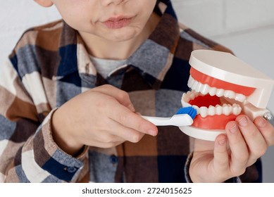 Boy learning to brush teeth on dental model.
