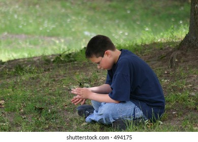 Boy looking at bugs