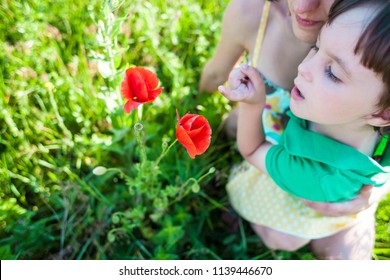 A Boy Is Looking At A Flower. A Child With Her Mother Is Sniffing Wildflowers. A Woman With A Baby Is Picking Up Poppies In A Field. Portrait Of Woman And Child In A Meadow.