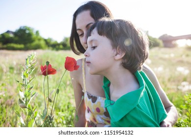 A Boy Is Looking At A Flower. A Child With Her Mother Is Sniffing Wildflowers. A Woman With A Baby Is Picking Up Poppies In A Field. Portrait Of Woman And Child In A Meadow.