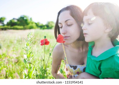 A Boy Is Looking At A Flower. A Child With Her Mother Is Sniffing Wildflowers. A Woman With A Baby Is Picking Up Poppies In A Field. Portrait Of Woman And Child In A Meadow.