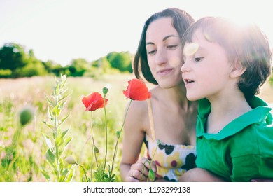 A Boy Is Looking At A Flower. A Child With Her Mother Is Sniffing Wildflowers. A Woman With A Baby Is Picking Up Poppies In A Field. Portrait Of Woman And Child In A Meadow.