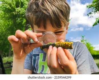 Boy with magnifying glass looking at a small green bug outdoors in a park. A little boy studying an insect with a magnifying glass in the nature. Boy holding a magnifying glass. Child examining a bug.