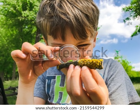 Boy with magnifying glass looking at a small green bug outdoors in a park. A little boy studying an insect with a magnifying glass in the nature. Boy holding a magnifying glass. Child examining a bug.