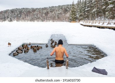 Boy Or Man Ice Bathing And Swimming In The Cold Water Of A Lake Or River Among The Ducks, Cold Therapy, Ice Swim With Forest Trees Covered By The Snow On Background