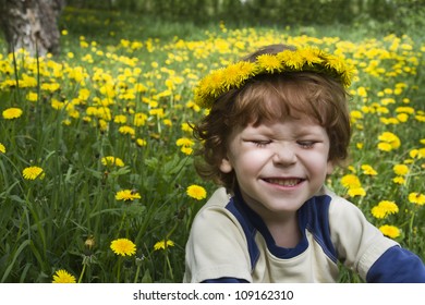 The boy in the meadow of dandelions