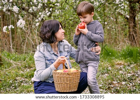 Similar – Image, Stock Photo Little girl woman carrying wicker basket with fresh organic apples