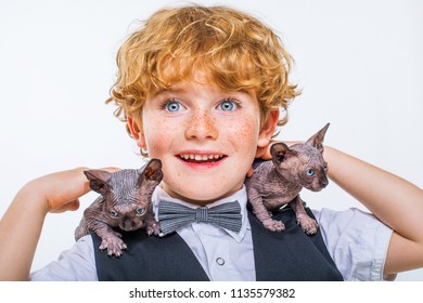 
Boy With Naked Cats, Kid And Sphinx, Boy And Bald Kitten, Hairless Cat