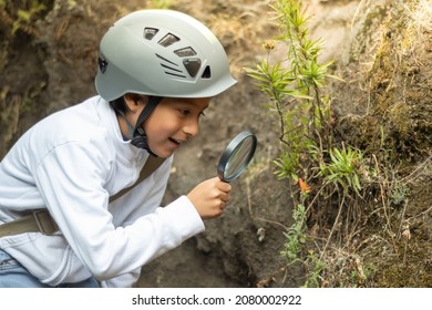 Boy observing a plant with a magnifying glass