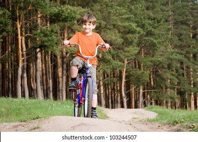 Boy on a bicycle on a background of pine forest
