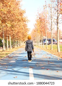 

A Boy On The Leafy Road

