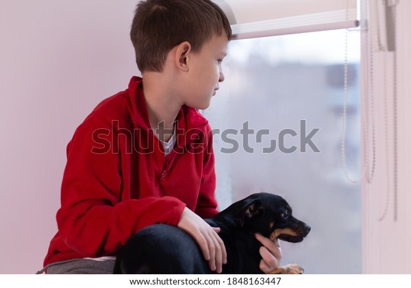 the Boy on the window with a\
dog