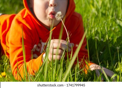 A boy in an orange sweatshirt lies on the green grass and blows on a dandelion. A beautiful, sweet child.
