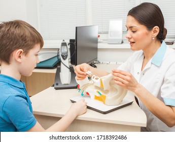 Boy patient with pediatrician, she explains how the ear works. Audiologist consultation - Powered by Shutterstock