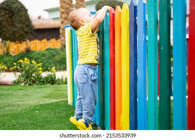 boy peeking over colorful wooden fence  of the kids club in summer resort in Egypt. Holiday concept.