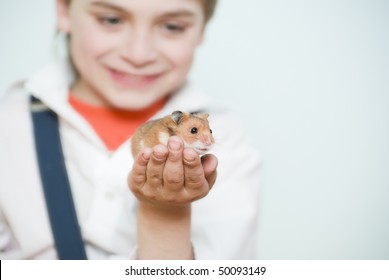 the boy and the pet
