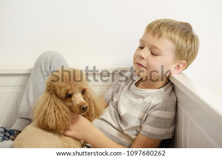 Similar – Image, Stock Photo cute brown toy poodle dog standing at sunset by countryside. Fun, sports and pets outdoors