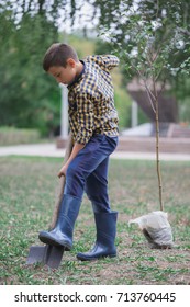 Boy Planting Young Tree In Autumn In A Rubber Boots. Autumn Yard Work. Boy Cares Of Nature.