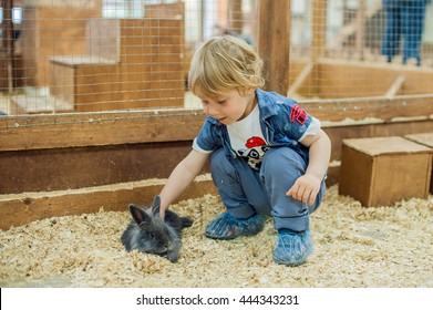 Boy play with the rabbits in the petting zoo - Shutterstock ID 444343231