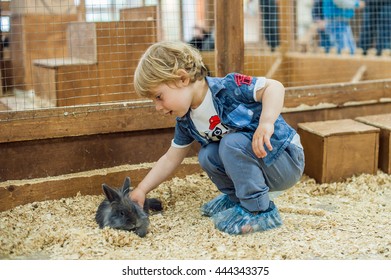 Boy play with the rabbits in the petting zoo - Shutterstock ID 444343375