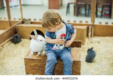 Boy play with the rabbits in the petting zoo - Shutterstock ID 444921076