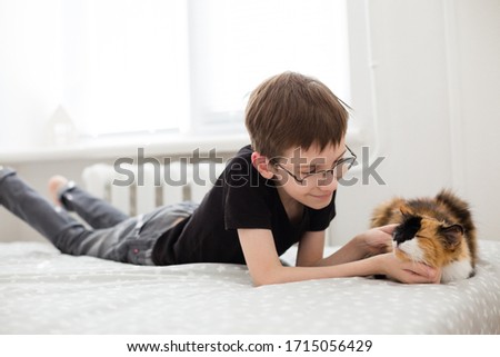 Similar – young caucasian little boy playing with tablet on couch