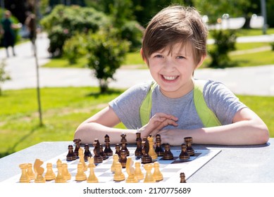  Boy Playing Chess Outside In The Summer