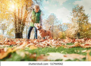 Boy playing with dog in autumn park