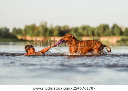 Boy playing with dog at beach on sunny day