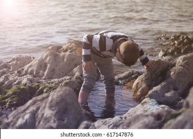 Boy Playing and Exploring in Tidal Pools Near the Ocean with Flare