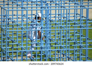 The Boy Playing In The Jungle Gym