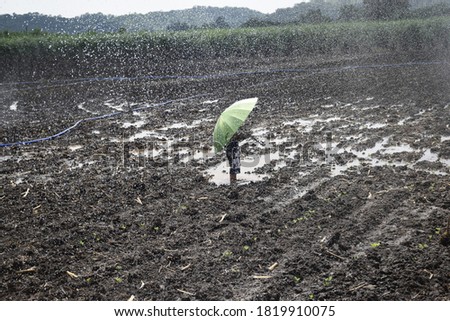 The boy playing in the muddy field.Happy time during springer water system is working.Concept of learning outside the classroom.Lifestytle of Asia child.