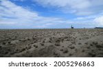 A boy is playing on the beach at low tide. Taken with low angle shot.