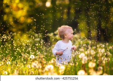 religion universitetsområde Slette Baby nature Images, Stock Photos & Vectors | Shutterstock