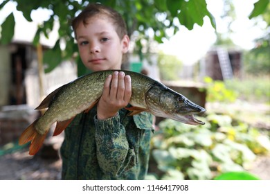 Boy posing with caught pike at backyard
