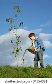 boy pours on seedling of tree by water