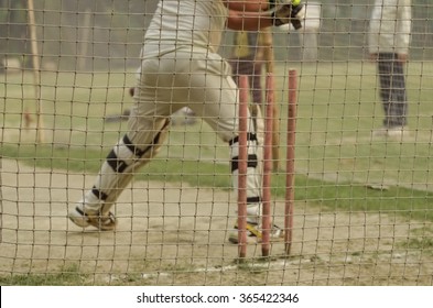 Boy is practicing cricket batting in net.