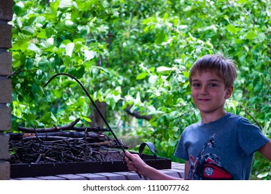 The boy is preparing to make a fire. next to dry branches for a fire. Summer. against the background of a green garden.