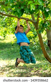 The boy pulls himself on a branch of a tree in the garden.  He wants to be strong