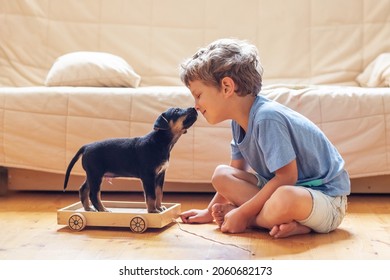 A boy with a puppy playing at home
				