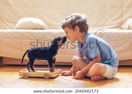 A boy with a puppy playing at home
