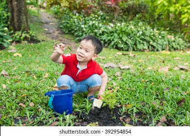 Boy Is Putting Seeds In The Soil In The Vegetable Garden