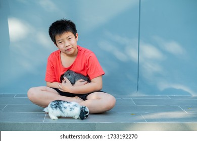 A Boy With A Rabbit,  Bunny Pet
