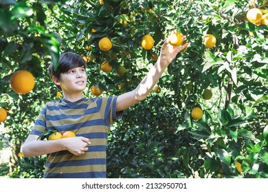 791 Kid reaching for fruit Images, Stock Photos & Vectors | Shutterstock