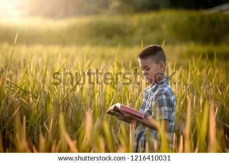 Boy reading book or bible in rice field.