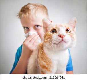 A Boy With A Red Cat, Allergy